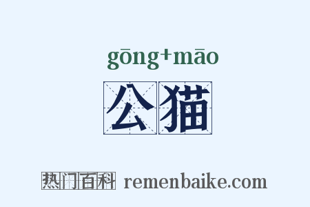 公猫是什么意思的图片
